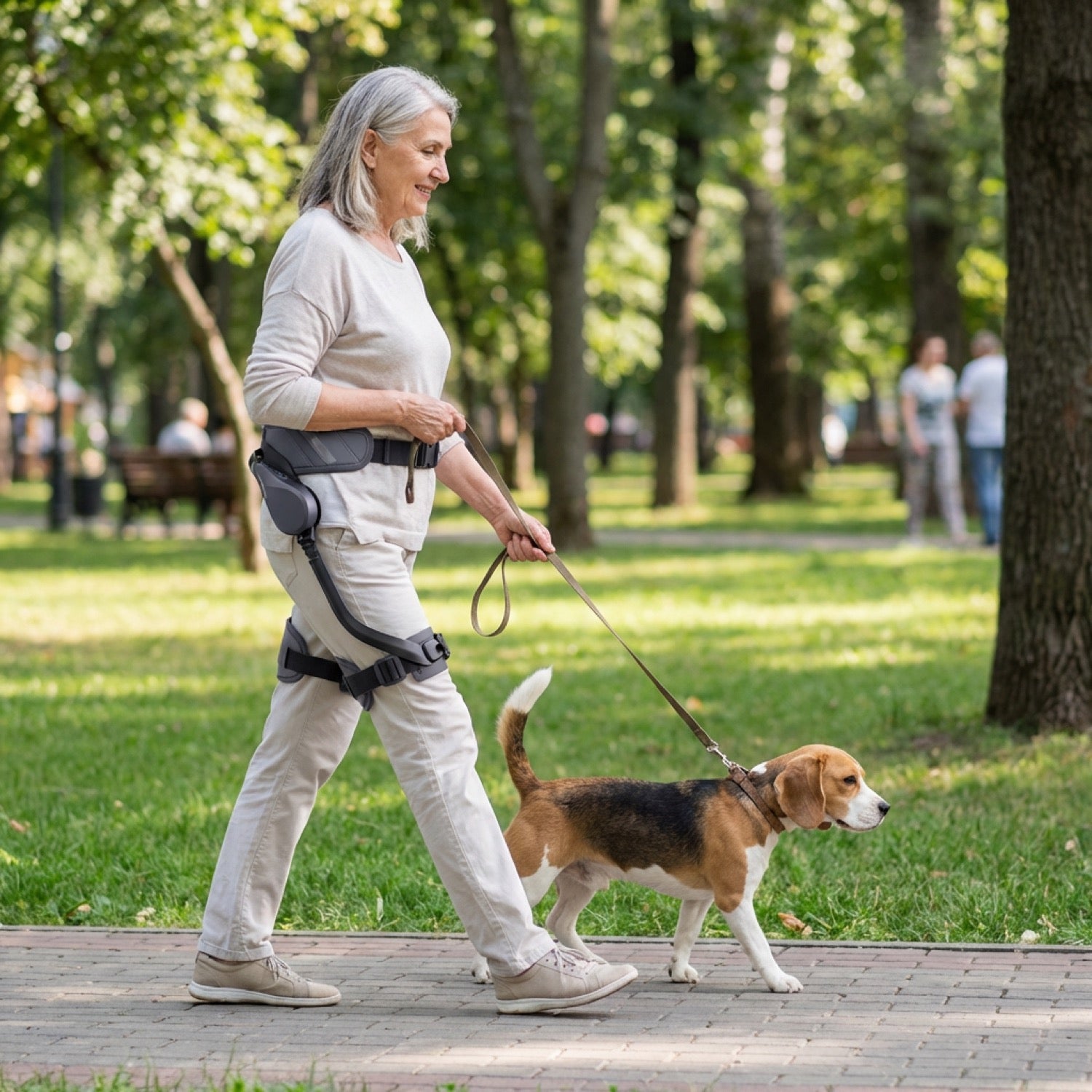 Flexa Walking Assist